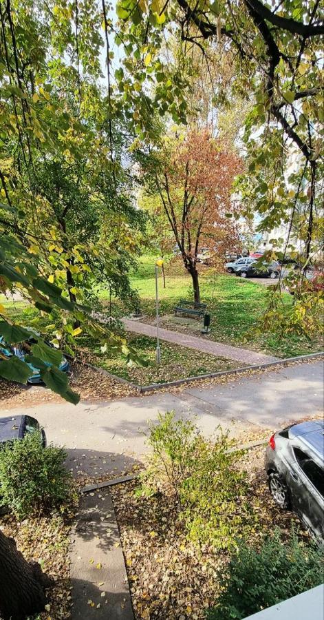 Park View Apartment